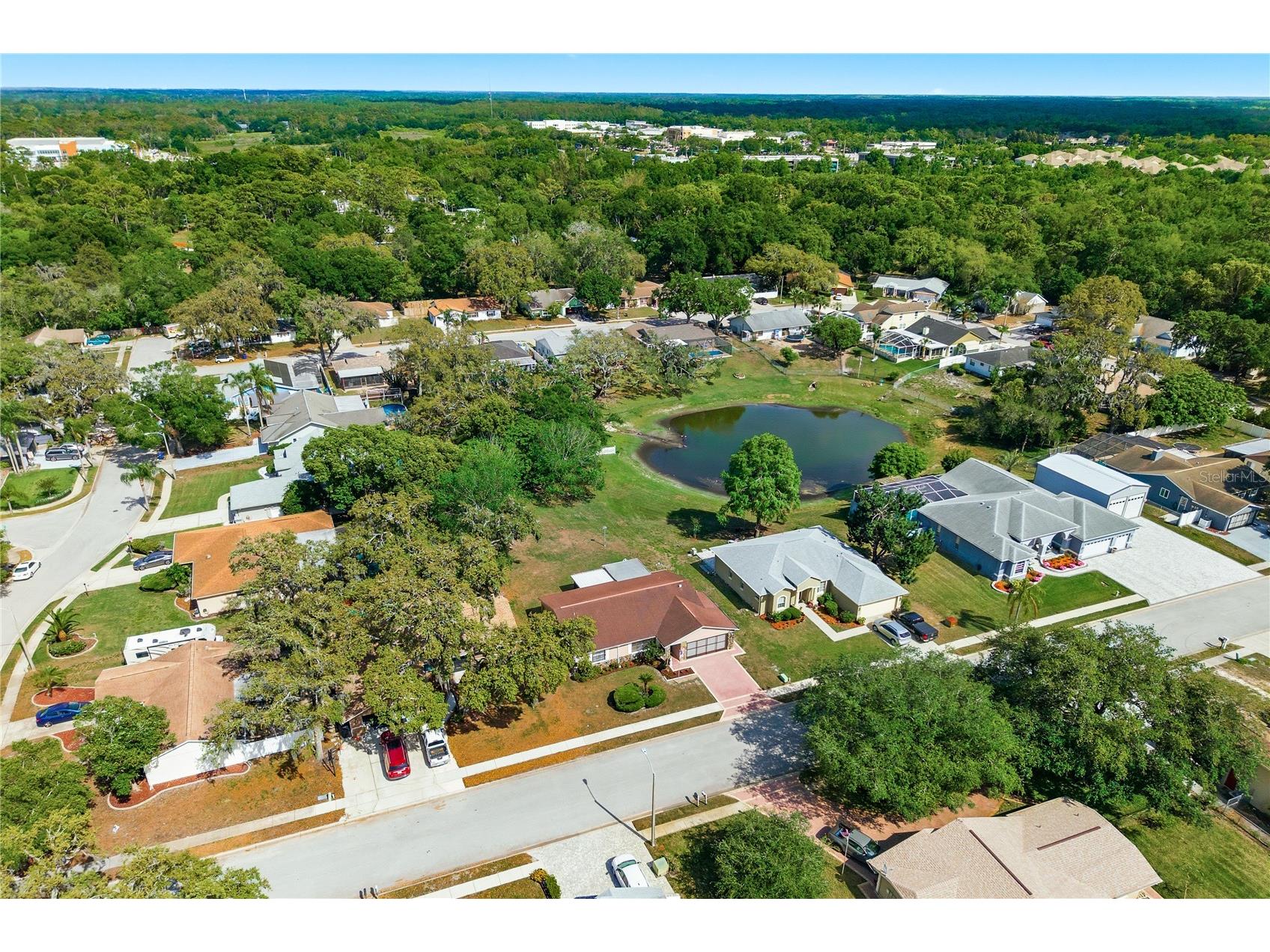 7832 Mcpherson Drive New Port Richey FL 34653 TB8498768 image35