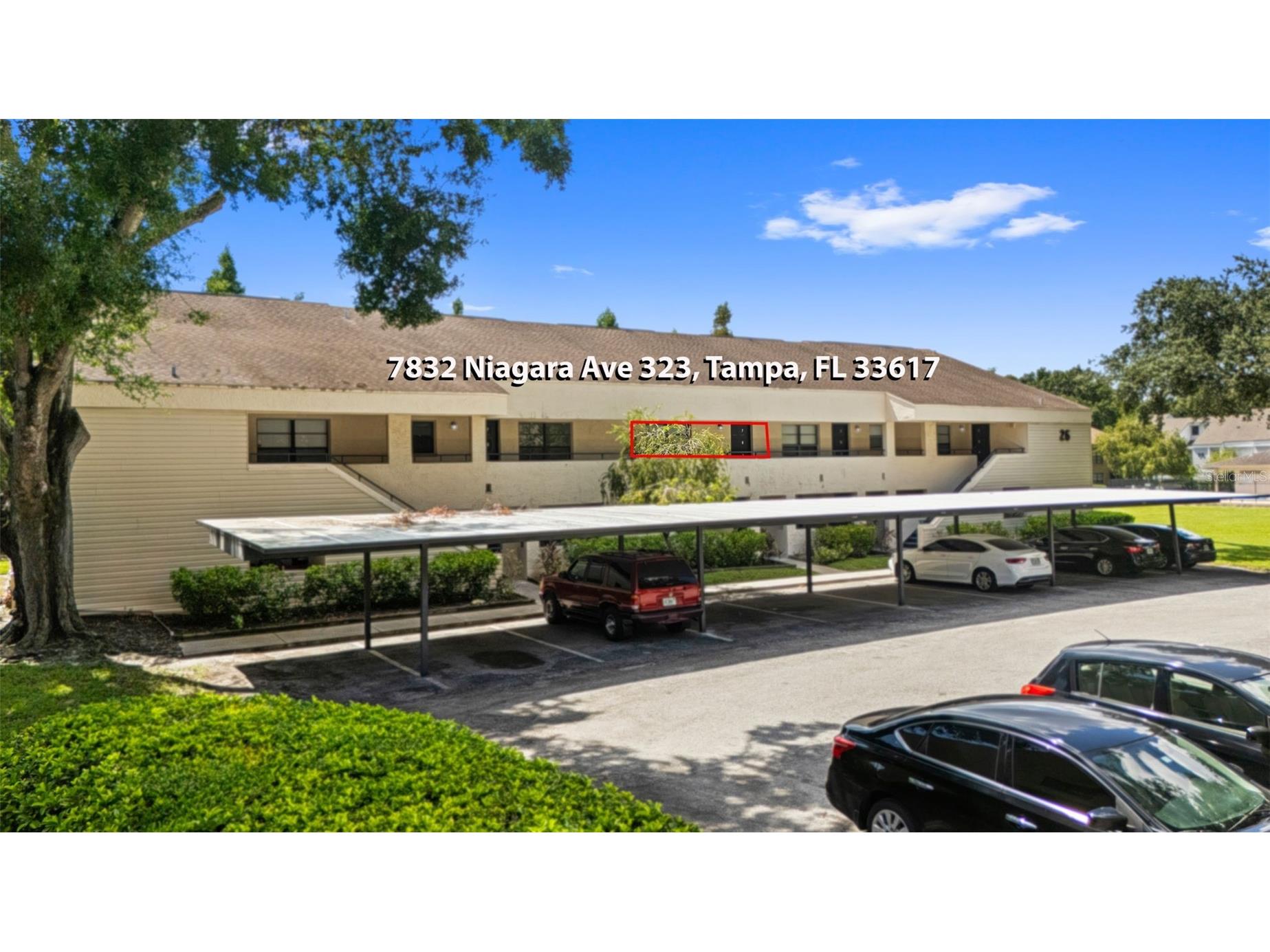 7832 Niagara Avenue #323 Tampa FL 33617 TB8414733 image35