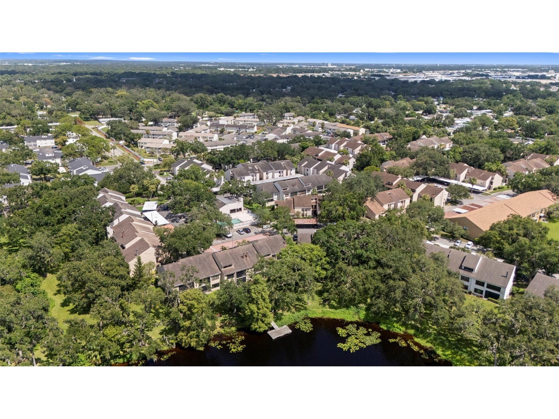 7832 Niagara Avenue #323 Tampa FL 33617 TB8414733 image38
