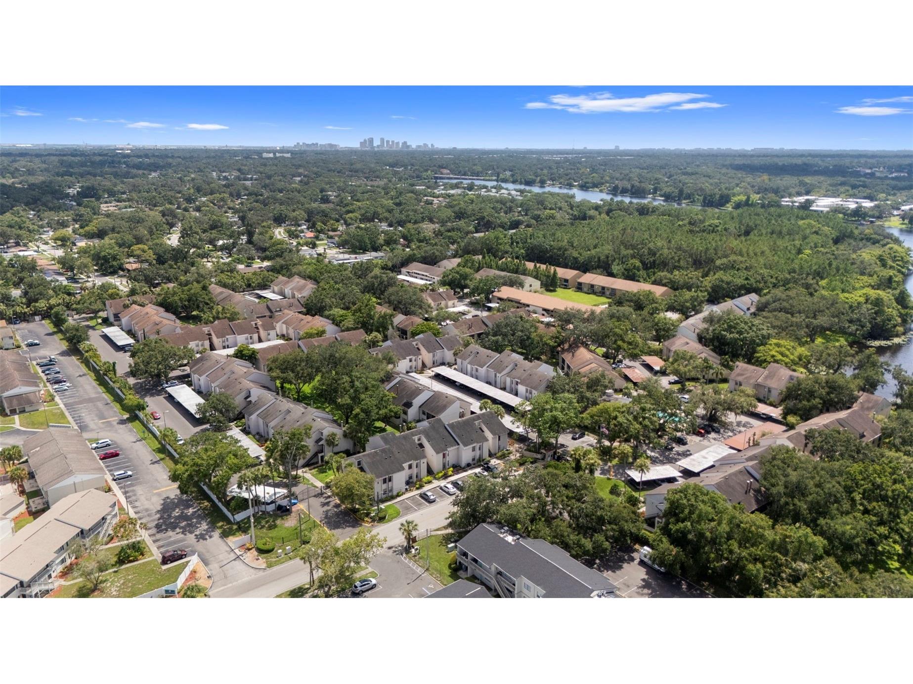 7832 Niagara Avenue #323 Tampa FL 33617 TB8414733 image39