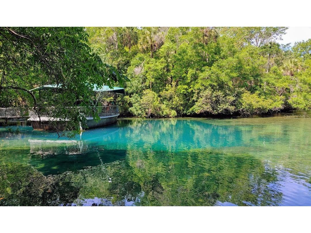 7832 W Solar Place Homosassa FL 34448 TB8445318 image39