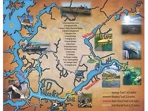 7832 W Solar Place Homosassa FL 34448 TB8445318 image40