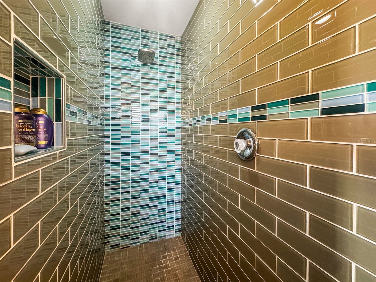 7833 1st Avenue S Saint Petersburg FL 33707 TB8477906 image29