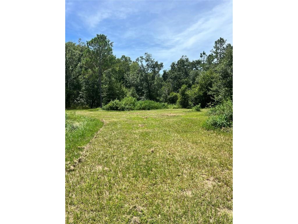 7833 Bay Lake Road Groveland FL 34736 G5099982 image14