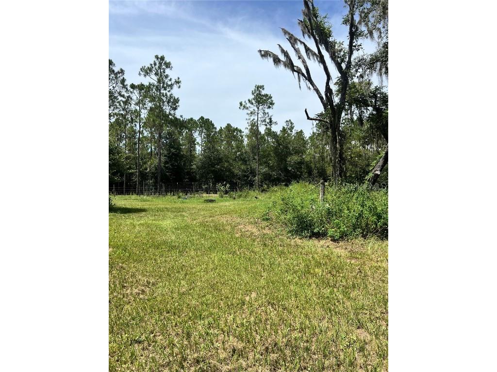 7833 Bay Lake Road Groveland FL 34736 G5099982 image16