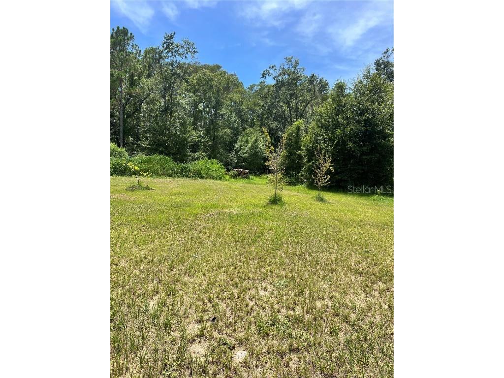 7833 Bay Lake Road Groveland FL 34736 G5099982 image17