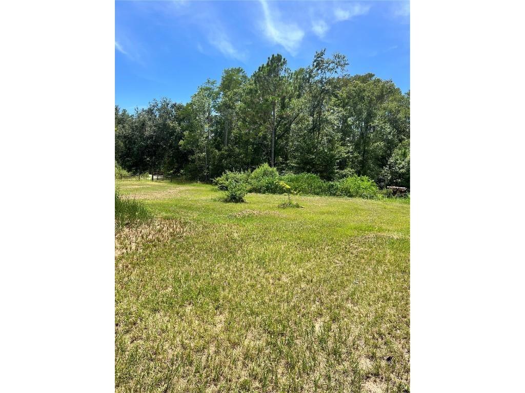 7833 Bay Lake Road Groveland FL 34736 G5099982 image18