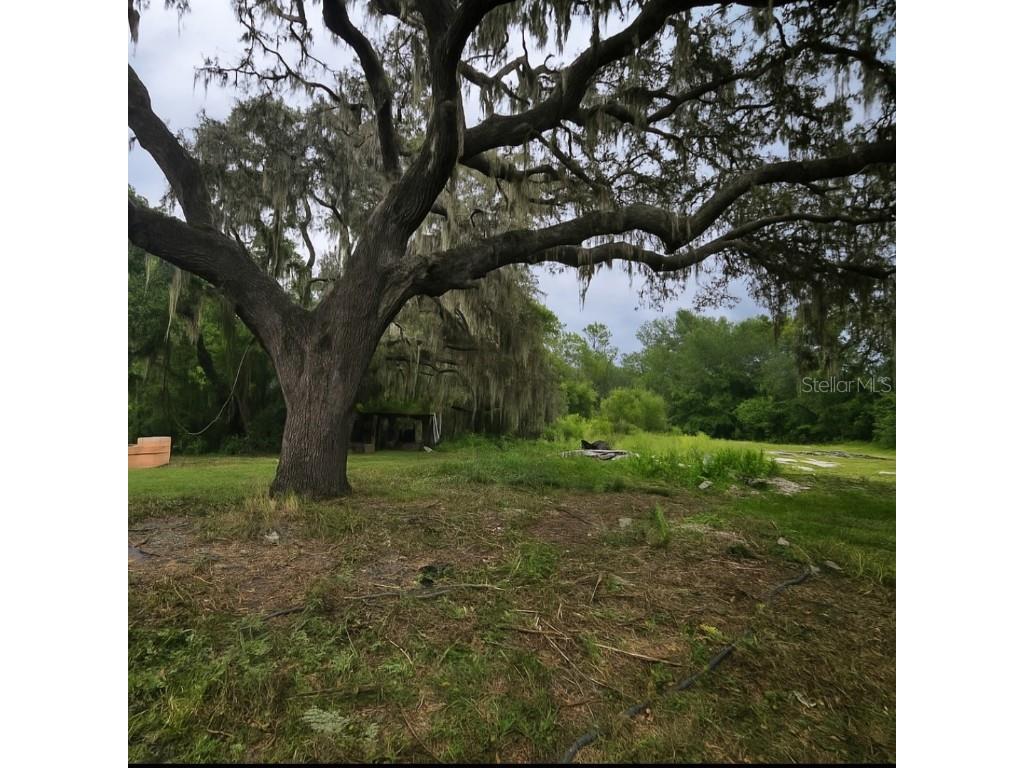 7833 Bay Lake Road Groveland FL 34736 G5099982 image27