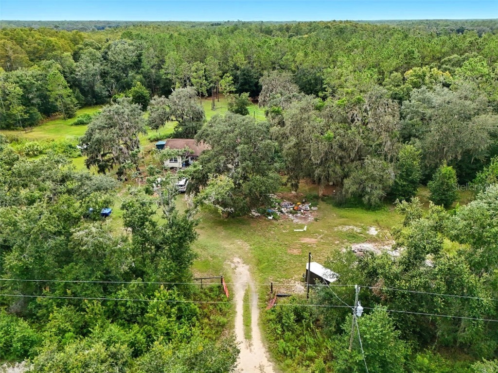 7833 Bay Lake Road Groveland FL 34736 G5099982 image3
