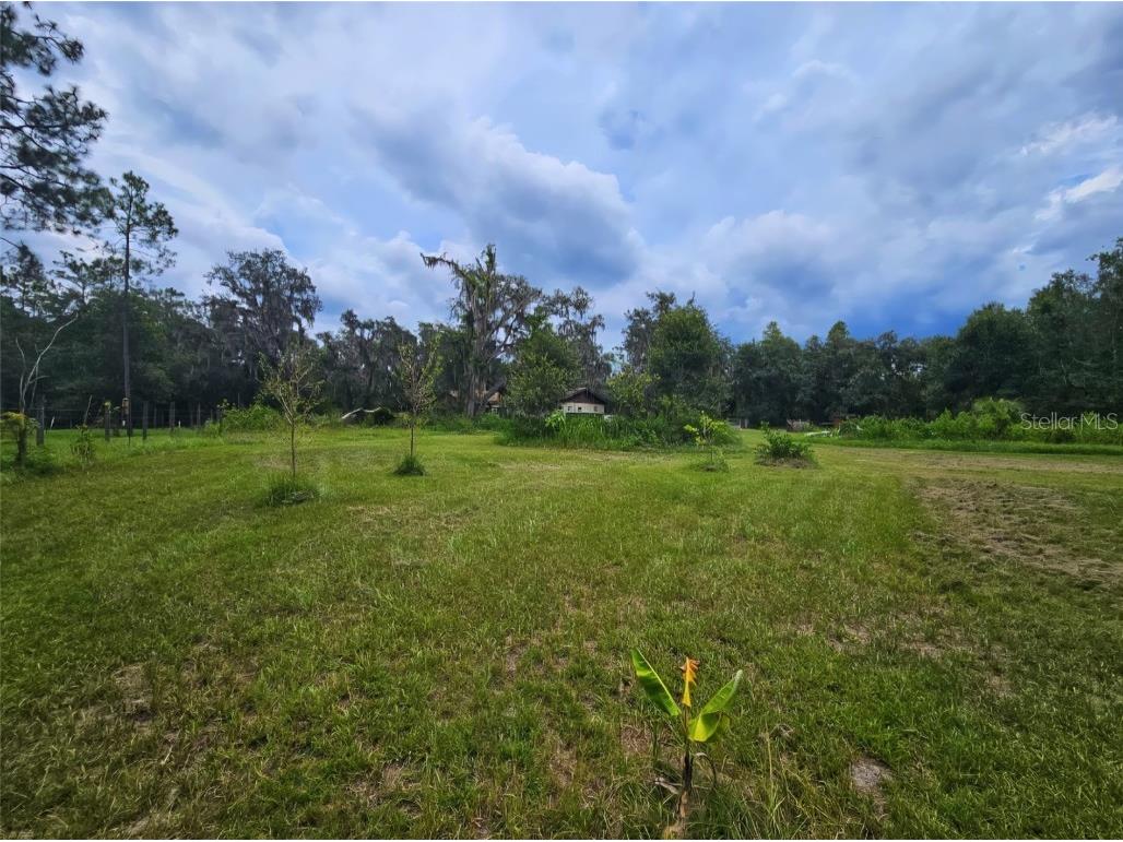 7833 Bay Lake Road Groveland FL 34736 G5099982 image33