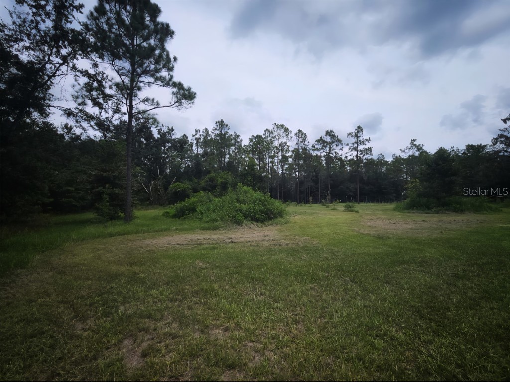 7833 Bay Lake Road Groveland FL 34736 G5099982 image35