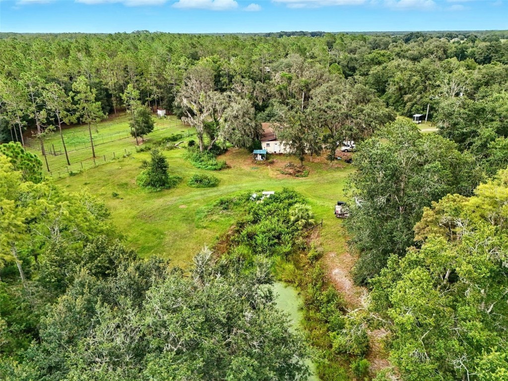 7833 Bay Lake Road Groveland FL 34736 G5099982 image42