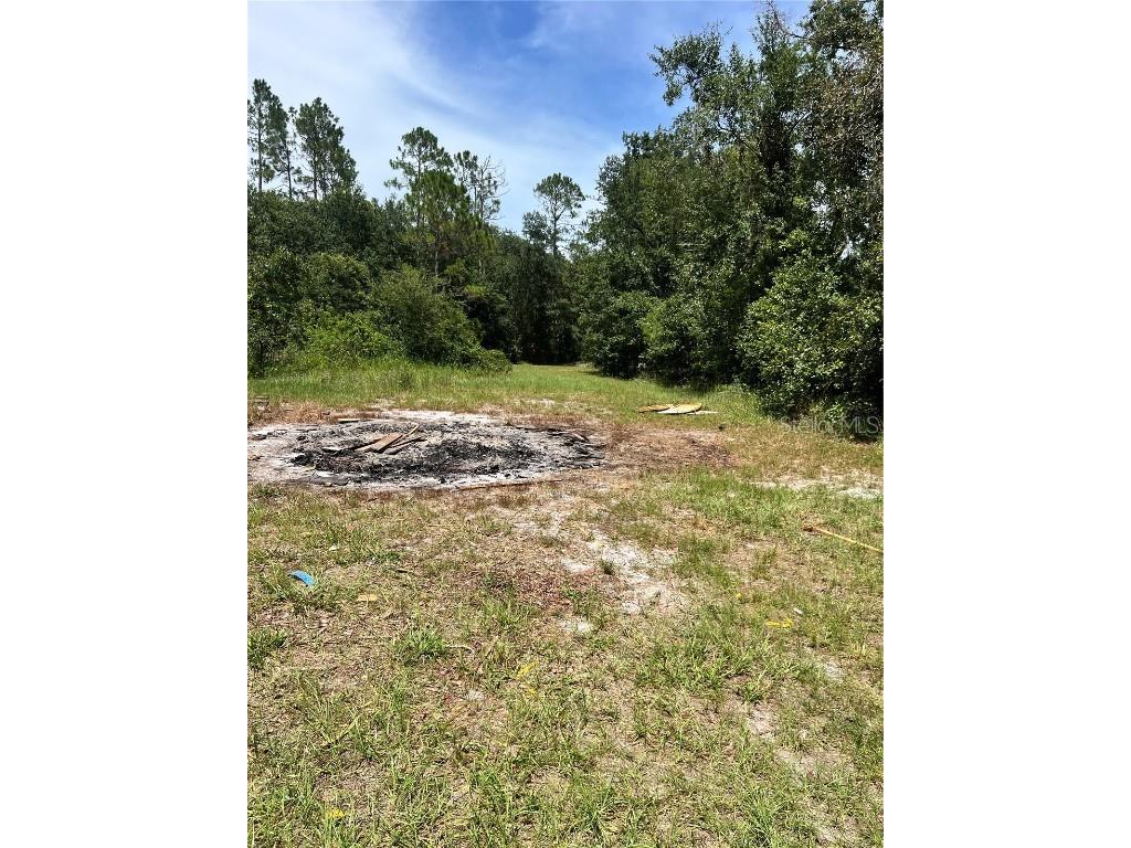 7833 Bay Lake Road Groveland FL 34736 G5099982 image5