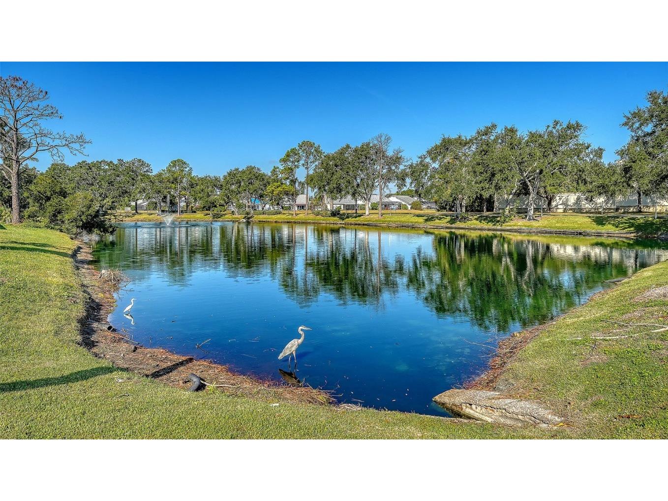 7833 Ontario Street Circle Sarasota FL 34243 A4673199 image36