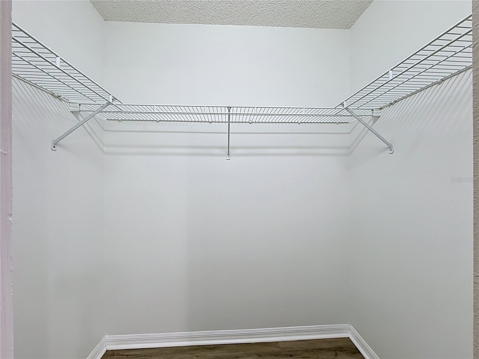 7834 Chadwick Drive New Port Richey FL 34654 C7526865 image11