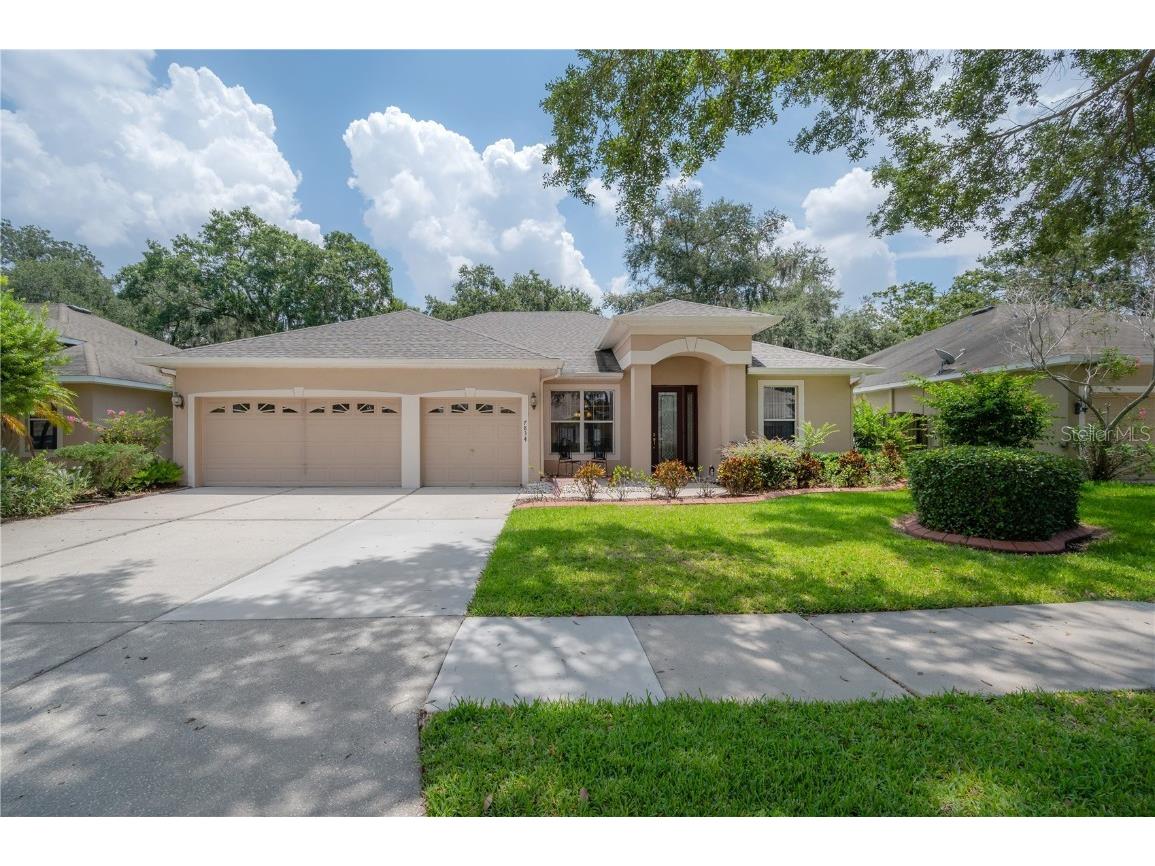 7834 Riverwood Oaks Drive Riverview FL 33578 T3454763 image1