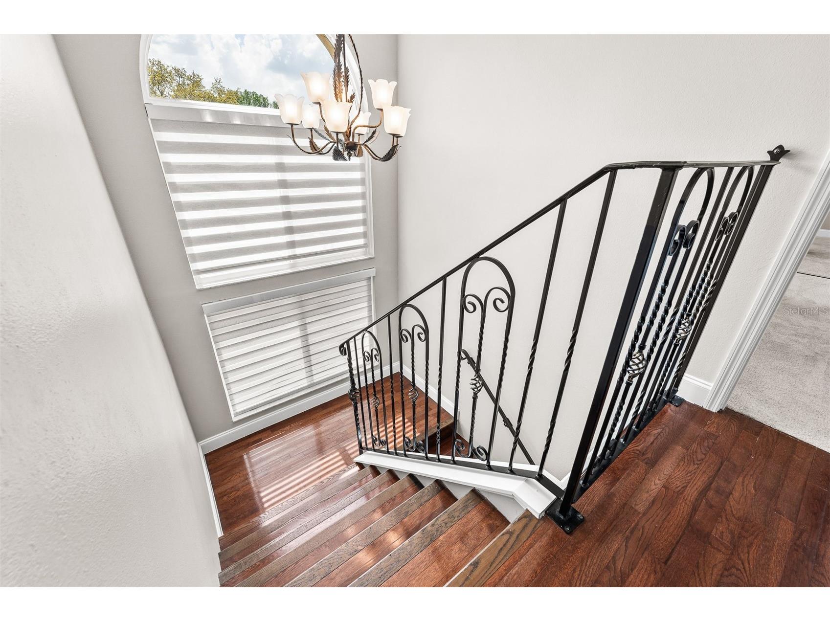 7834 Snowberry Cir Orlando FL 32819 S5147115 image27