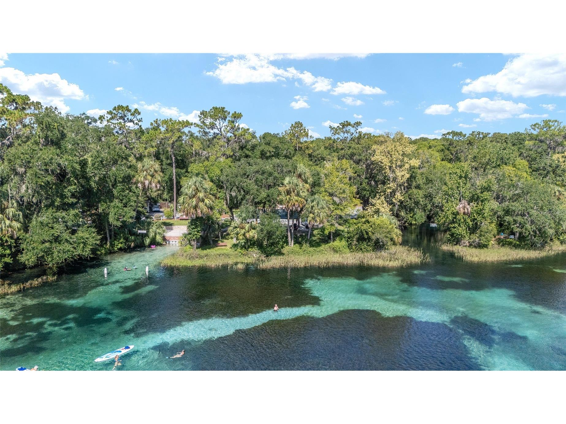 7834 SW 194th Court Dunnellon FL 34432 - RAINBOW RIVER OM715786 image2