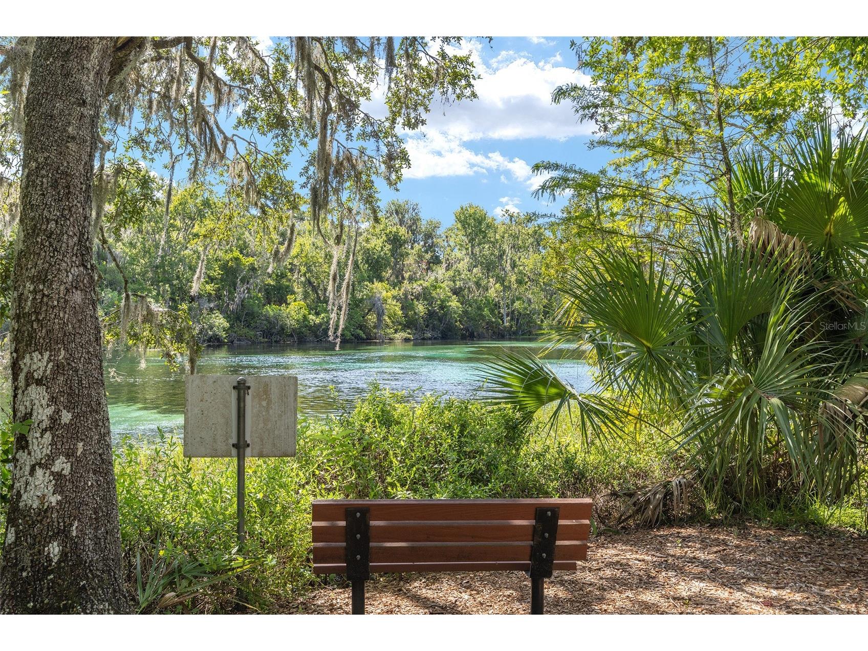 7834 SW 194th Court Dunnellon FL 34432 - RAINBOW RIVER OM715786 image48