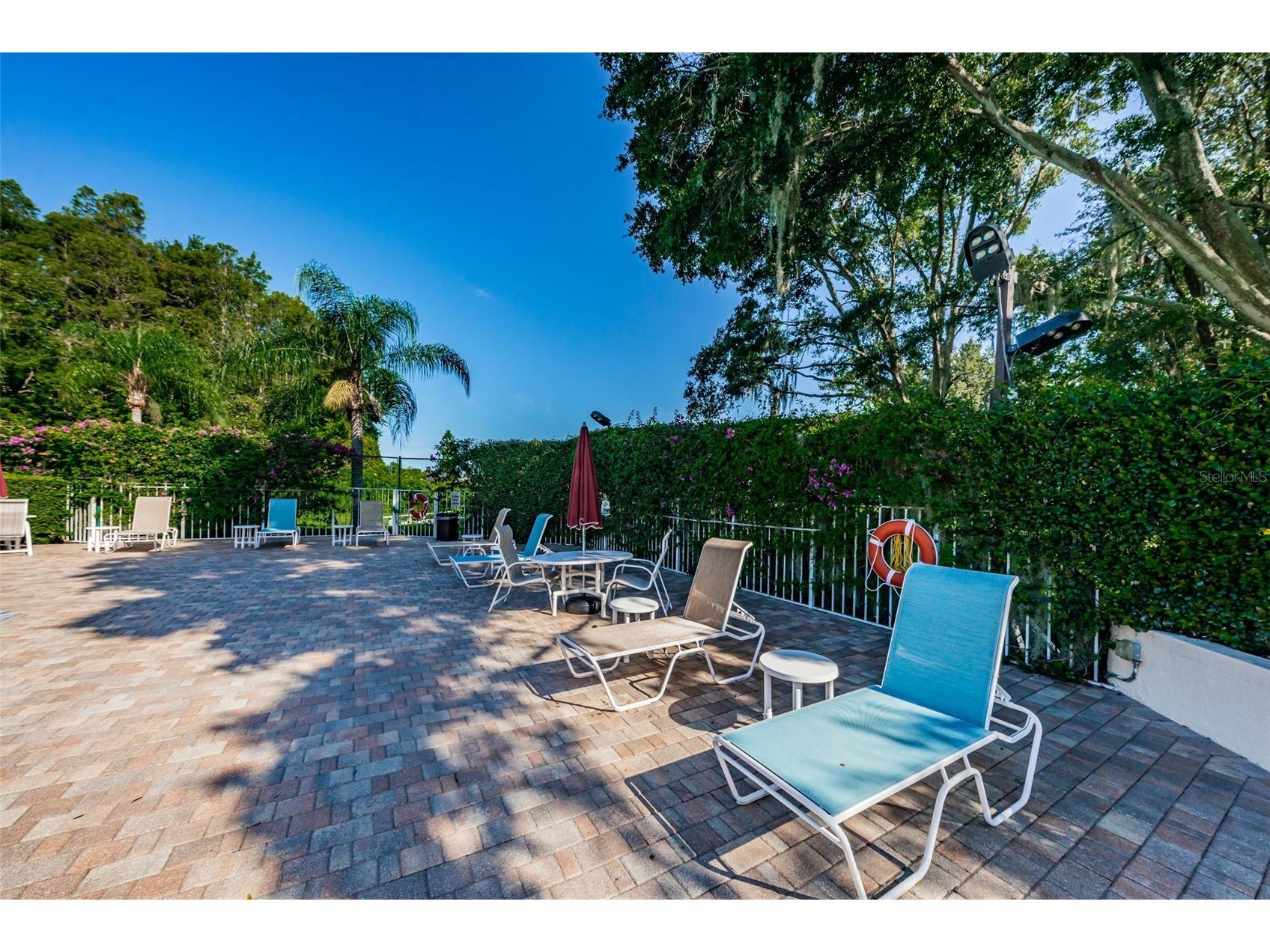 7837 Hardwick Drive #327 New Port Richey FL 34653 W7885299 image56