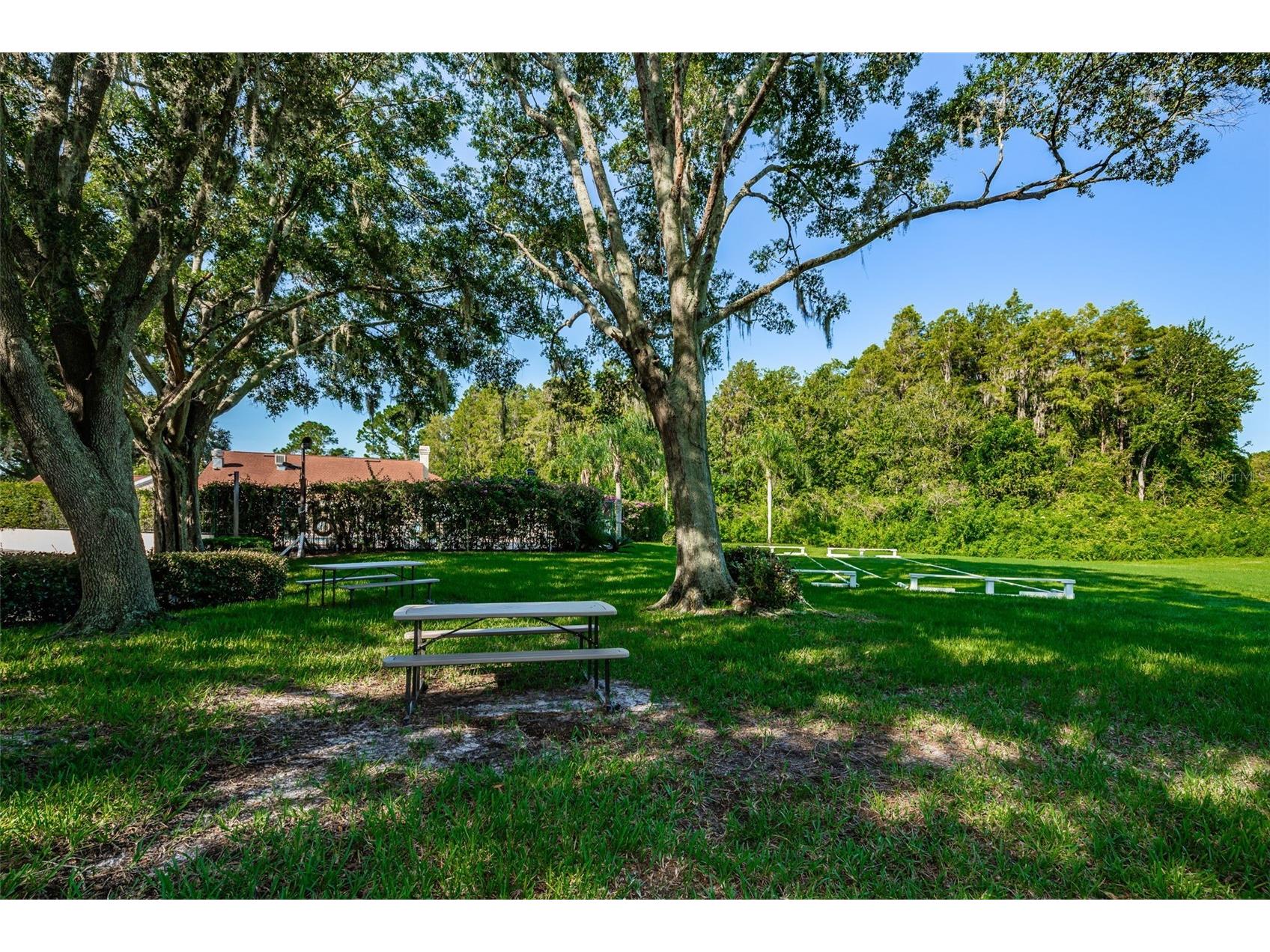 7837 Hardwick Drive #327 New Port Richey FL 34653 W7885299 image65