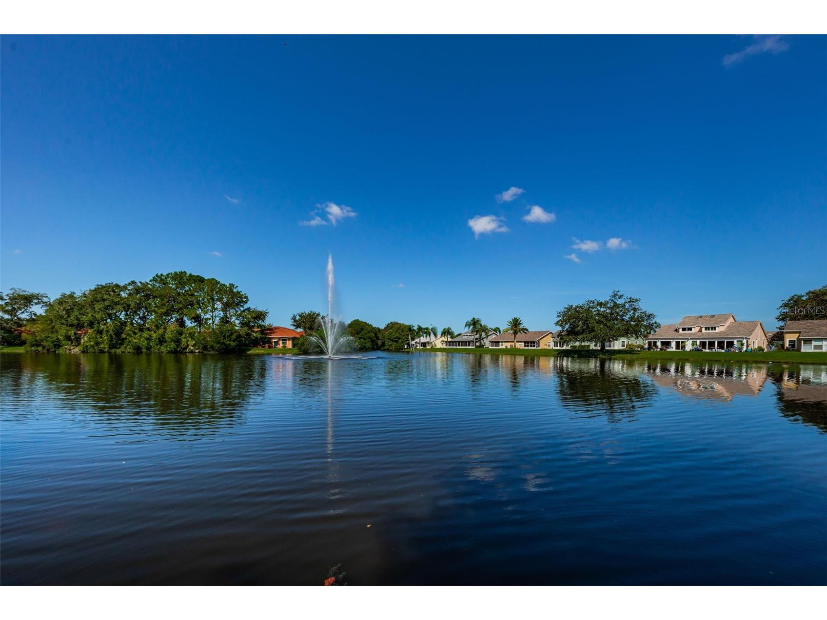 7837 Hardwick Drive #327 New Port Richey FL 34653 W7885299 image69