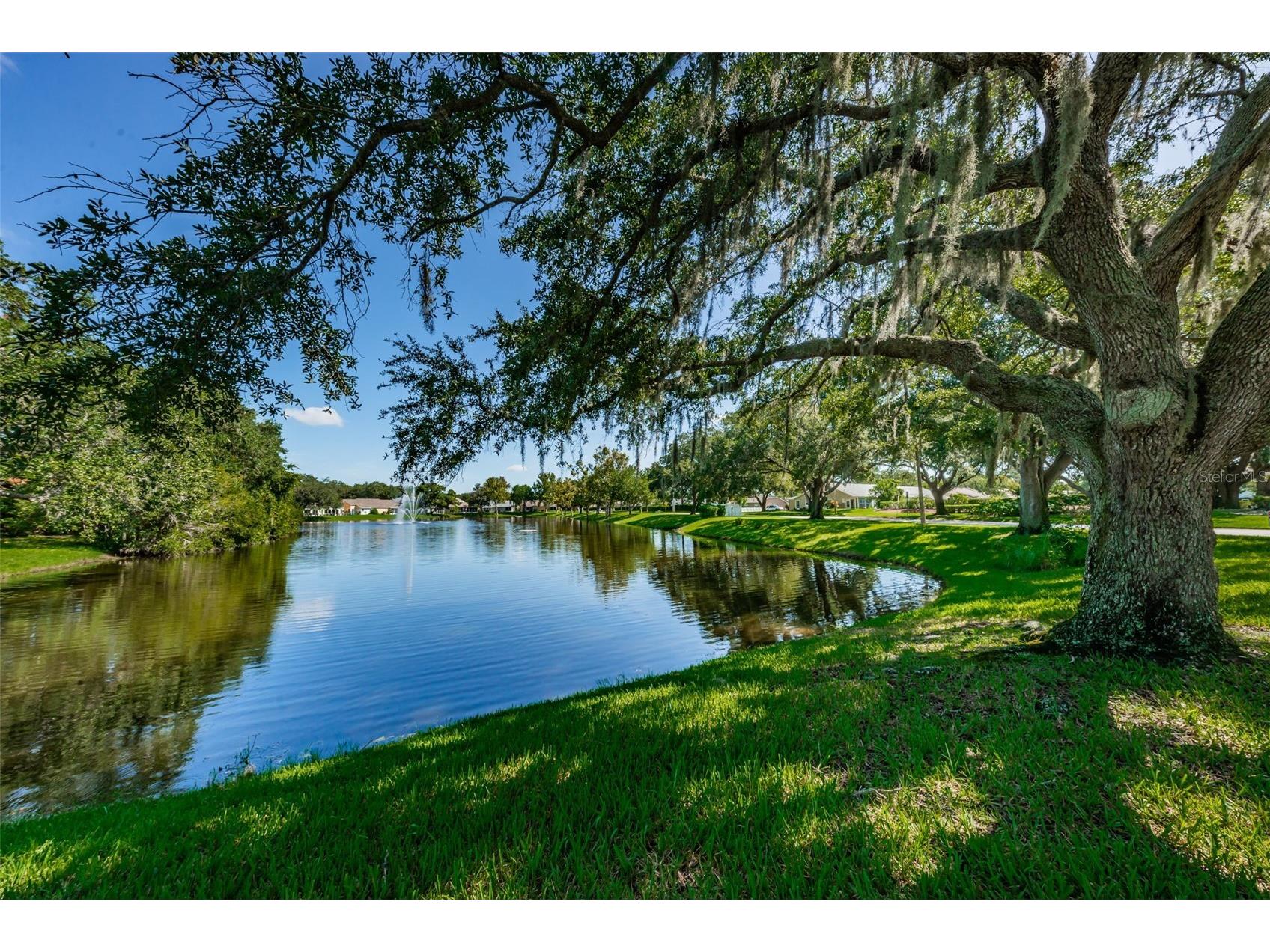 7837 Hardwick Drive #327 New Port Richey FL 34653 W7885299 image70