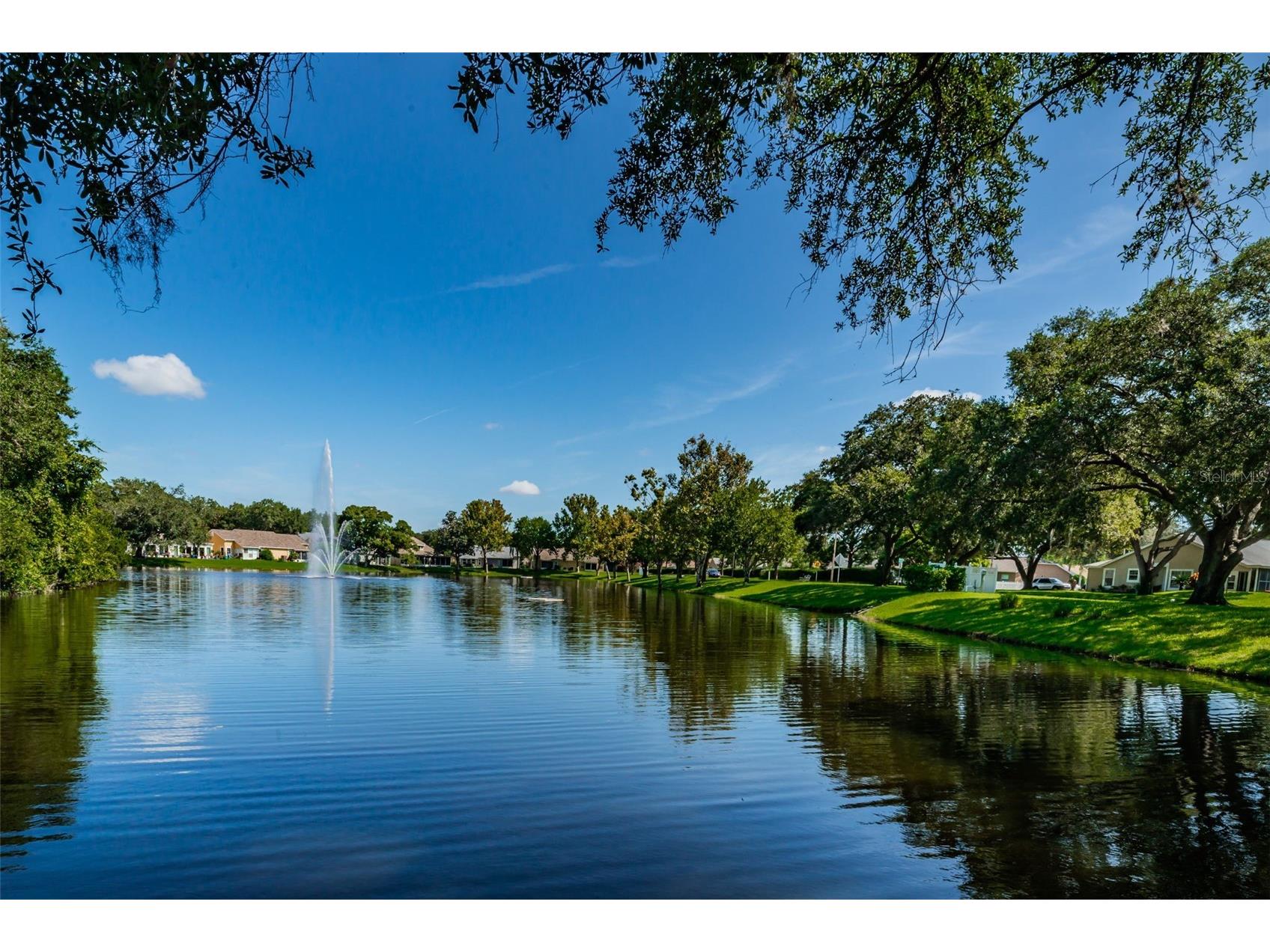7837 Hardwick Drive #327 New Port Richey FL 34653 W7885299 image71