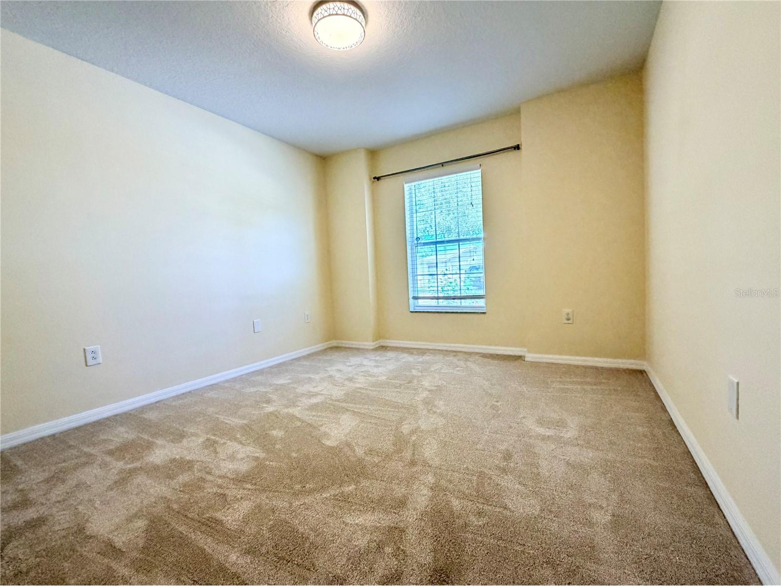 7838 Carriage Pointe Drive Gibsonton FL 33534 TB8531903 image15