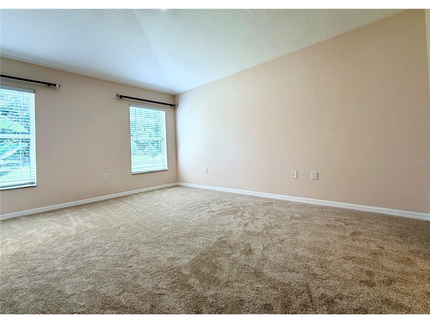 7838 Carriage Pointe Drive Gibsonton FL 33534 TB8531903 image20