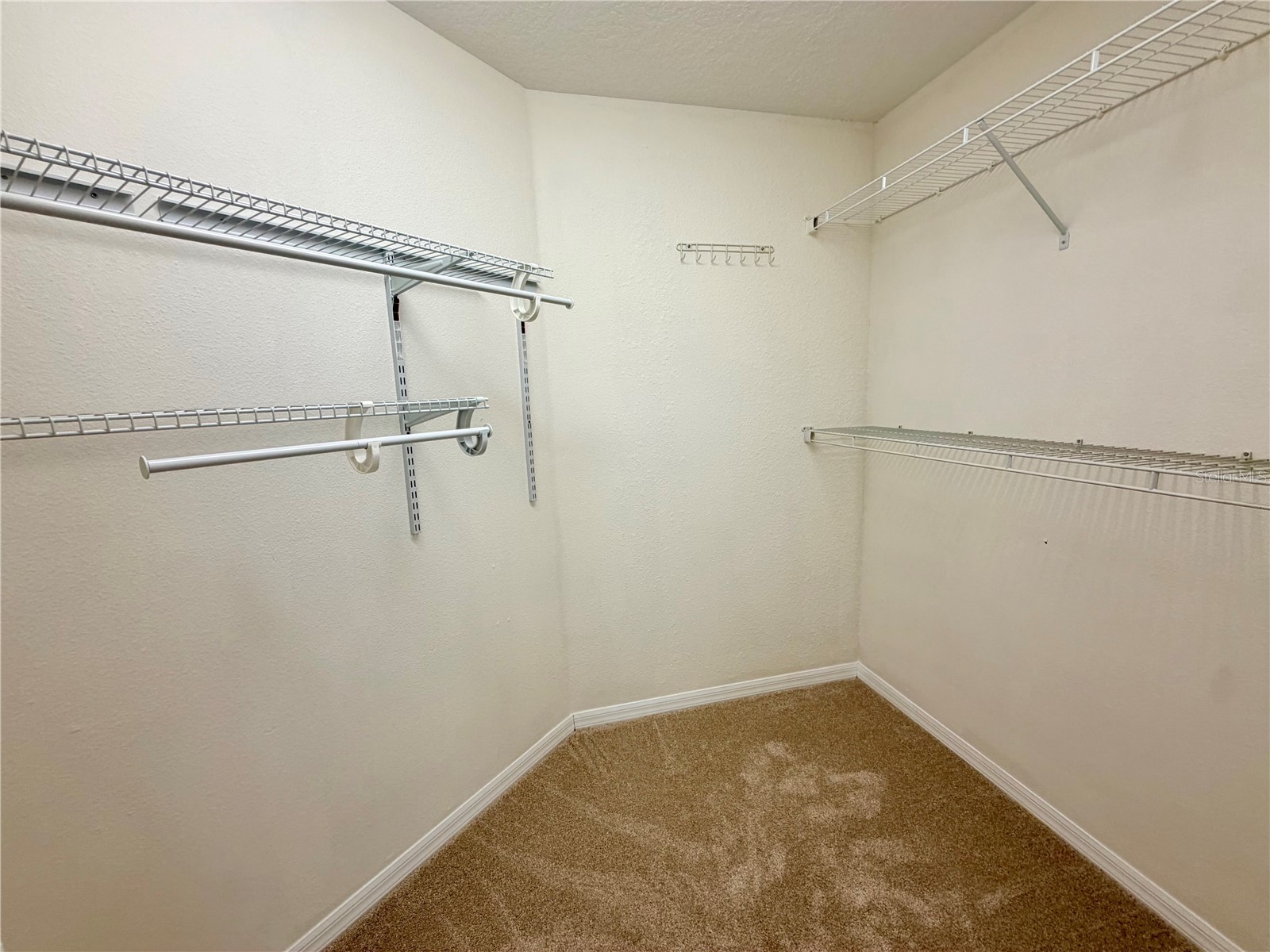 7838 Carriage Pointe Drive Gibsonton FL 33534 TB8531903 image23