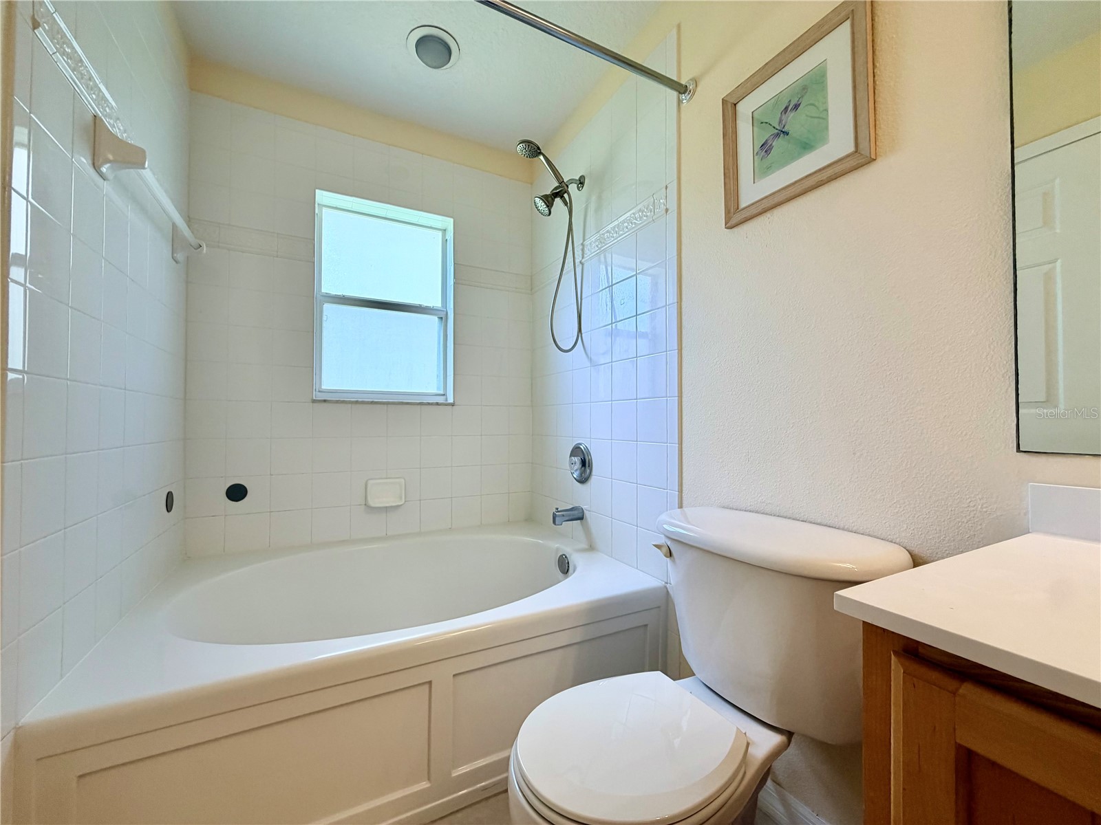 7838 Carriage Pointe Drive Gibsonton FL 33534 TB8531903 image26