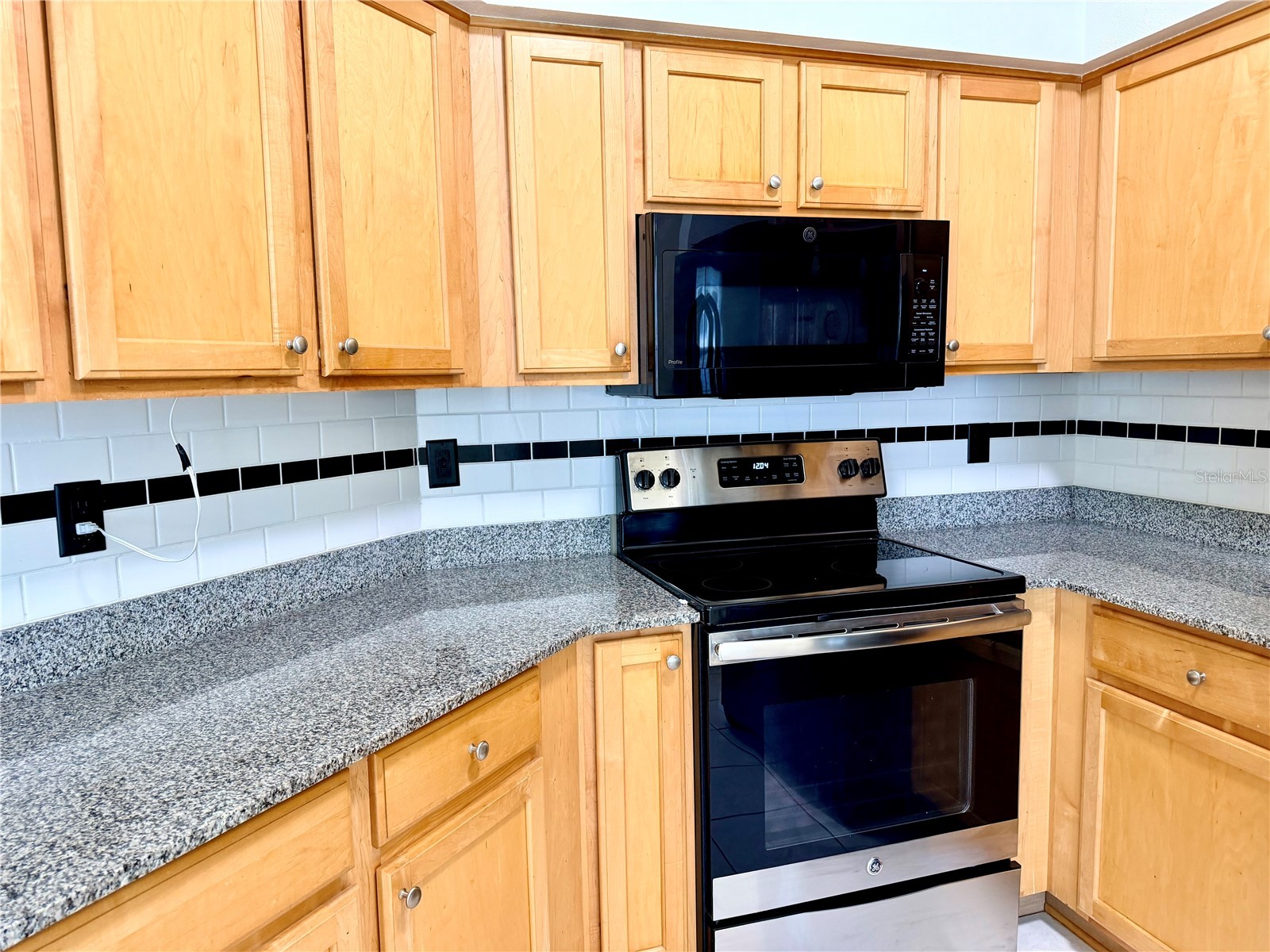 7838 Carriage Pointe Drive Gibsonton FL 33534 TB8531903 image3