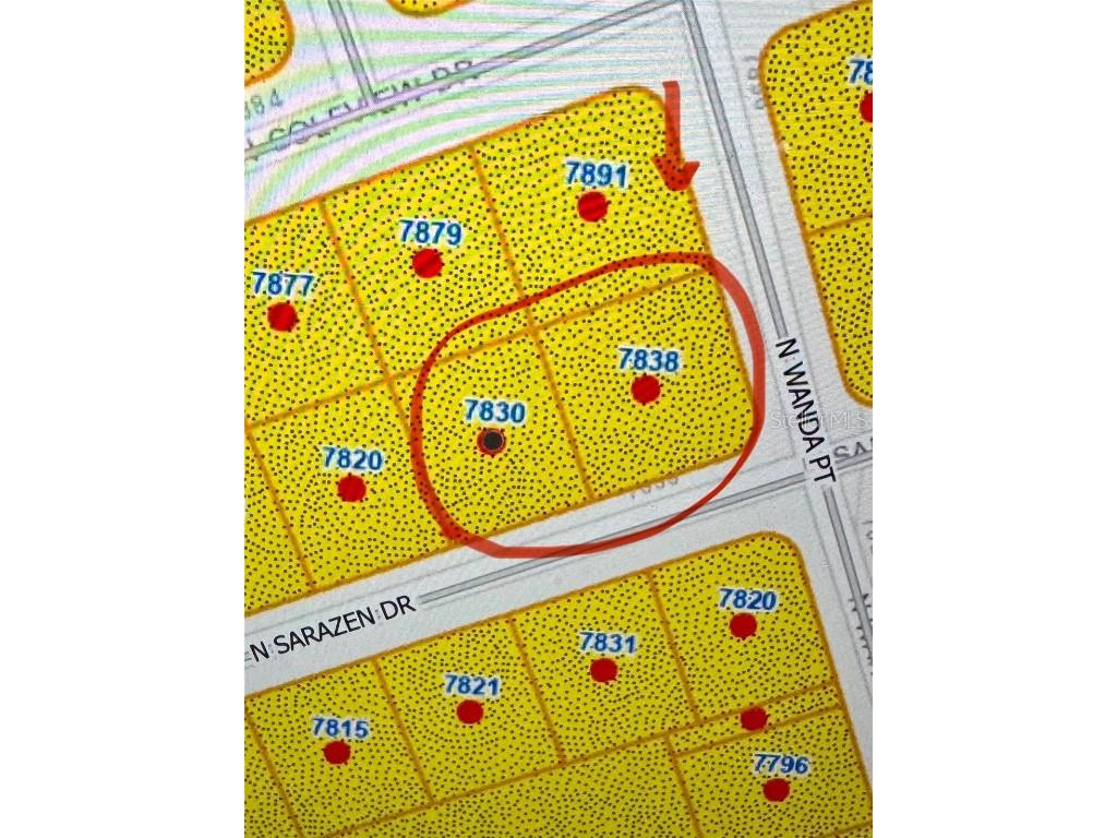 7838 N Sarazen Drive Citrus Springs FL 34434 TB8343478 image1