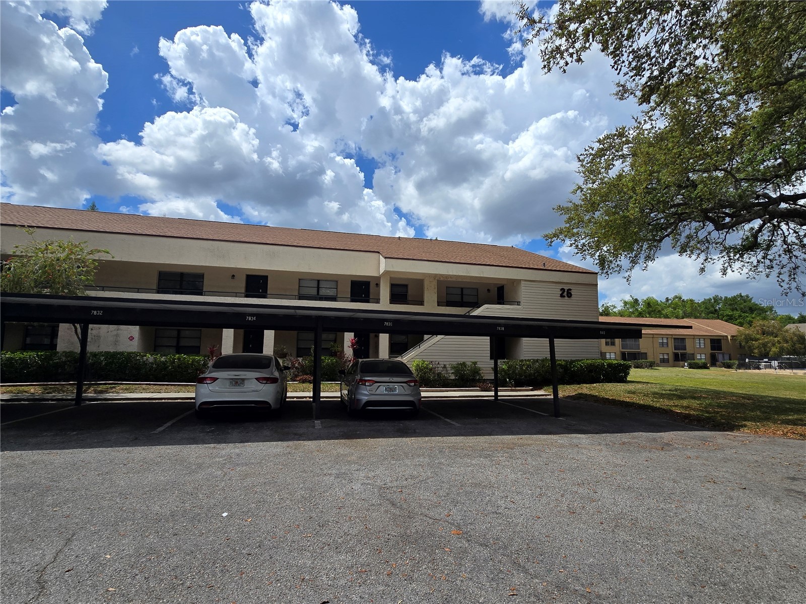7838 Niagara Avenue #305 Tampa FL 33617 TB8499432 image2