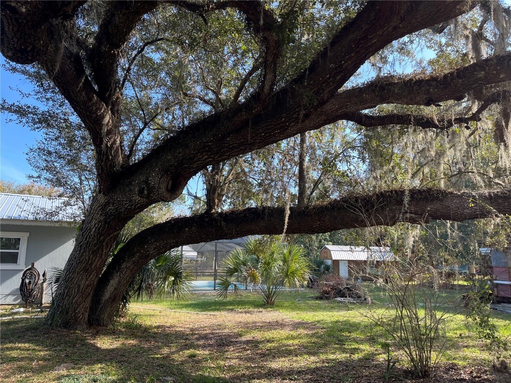 7838 S Four Oaks Drive Floral City FL 34436 W7871020 image31