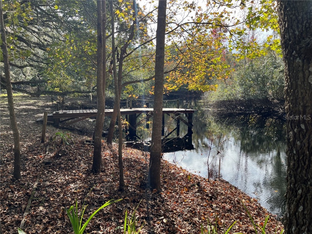 7838 S Four Oaks Drive Floral City FL 34436 W7871020 image33