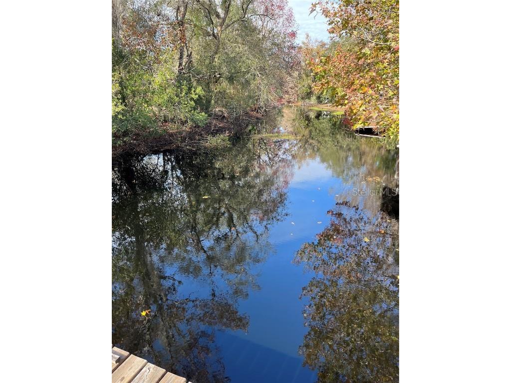 7838 S Four Oaks Drive Floral City FL 34436 W7871020 image34