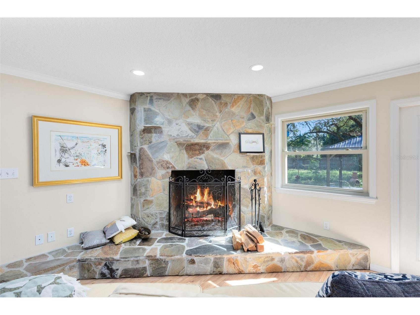 7838 Sloewood Drive Mount Dora FL 32757 O6375326 image11