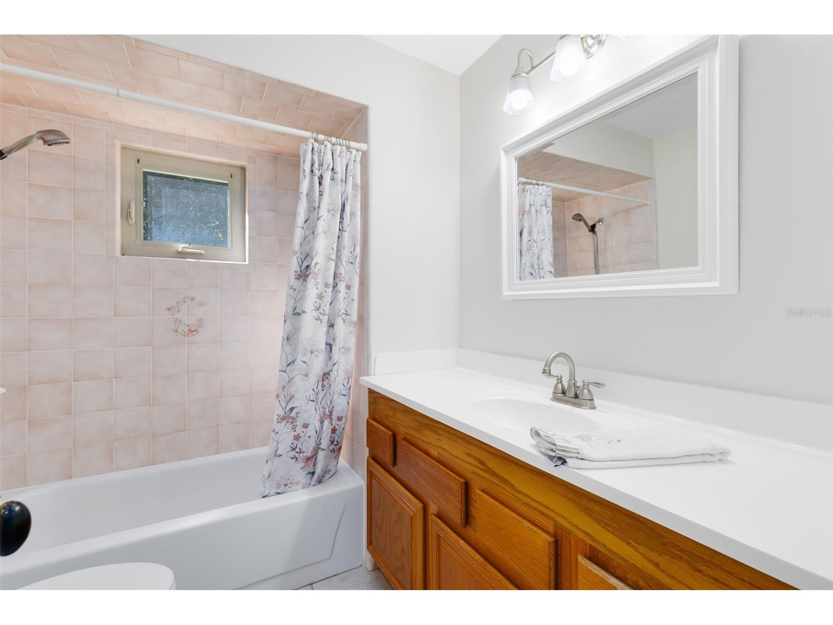 7838 Sloewood Drive Mount Dora FL 32757 O6375326 image18