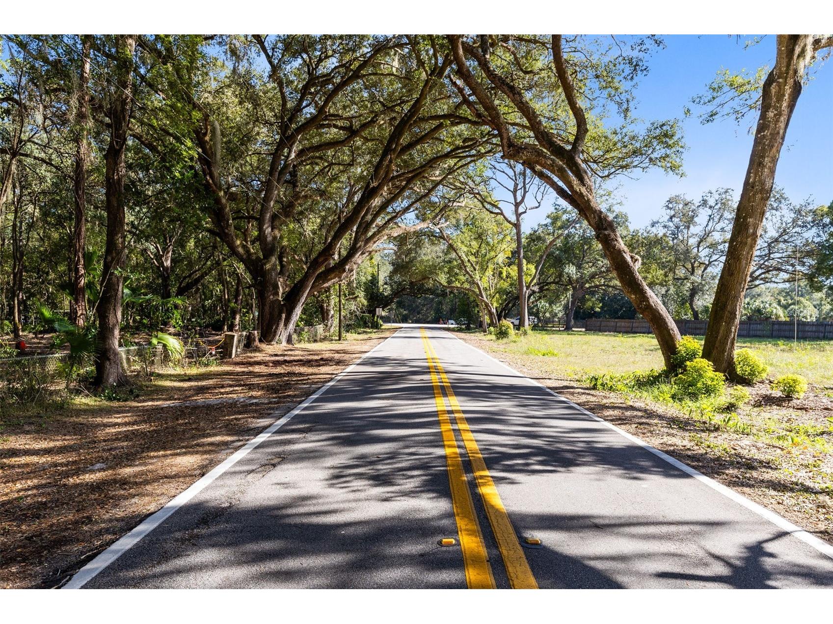 7838 Sloewood Drive Mount Dora FL 32757 O6375326 image26