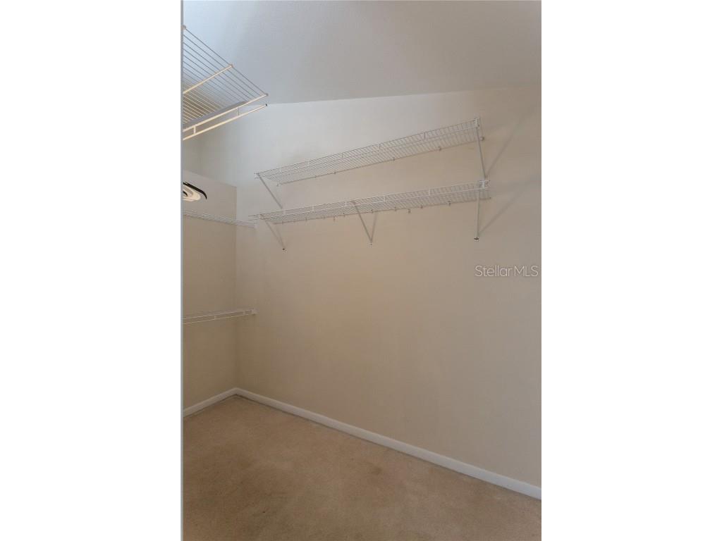 7838 Trail Run Loop New Port Richey FL 34653 TB8383494 image27