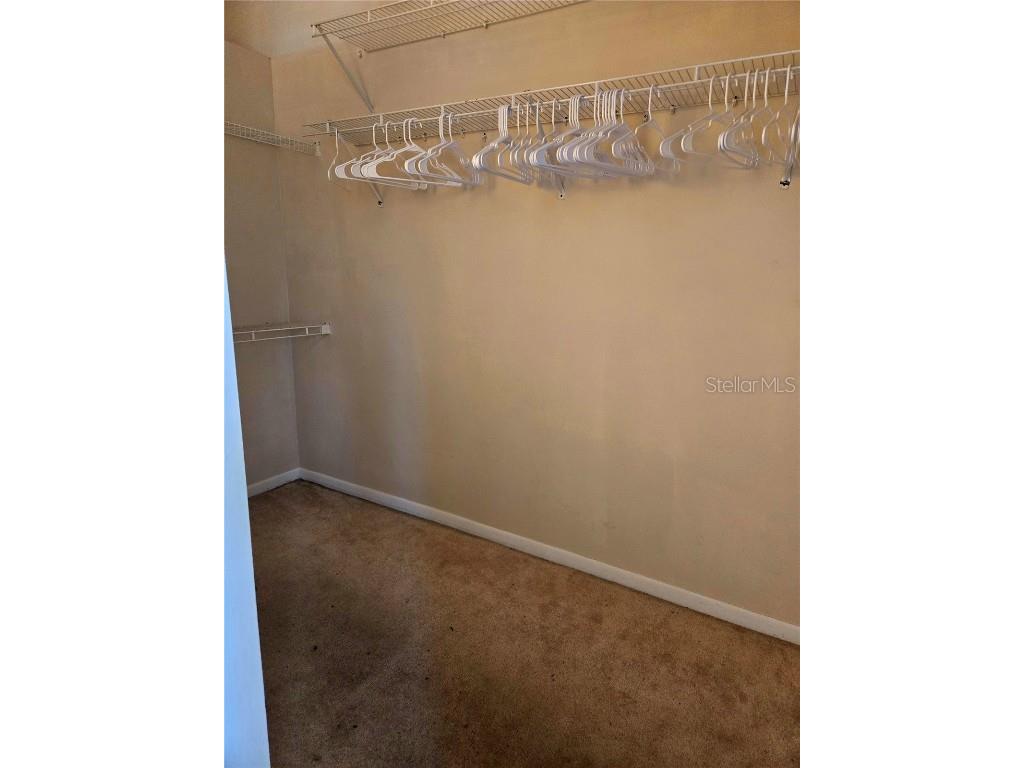 7838 Trail Run Loop New Port Richey FL 34653 TB8438618 image23