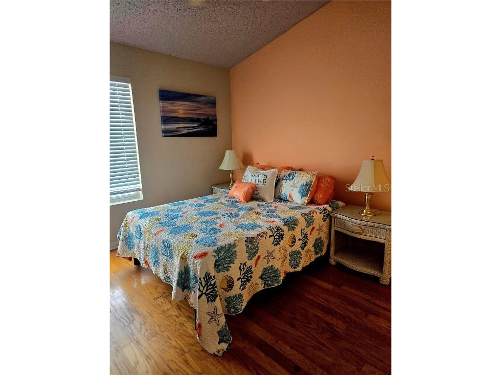 7838 Trail Run Loop New Port Richey FL 34653 TB8438618 image24