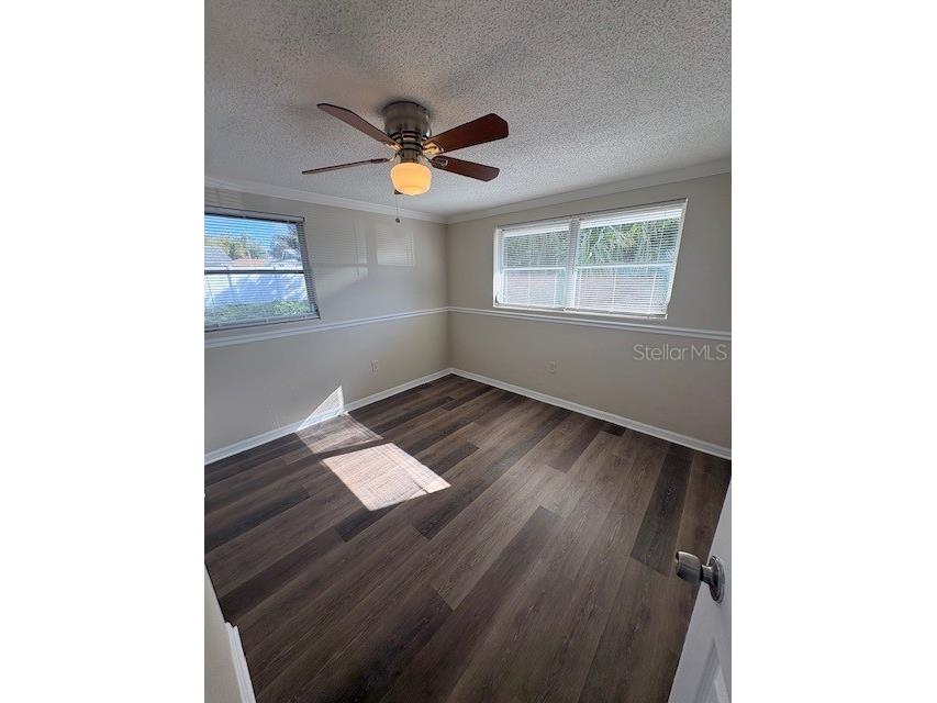 7839 Canna Drive Port Richey FL 34668 TB8484938 image8