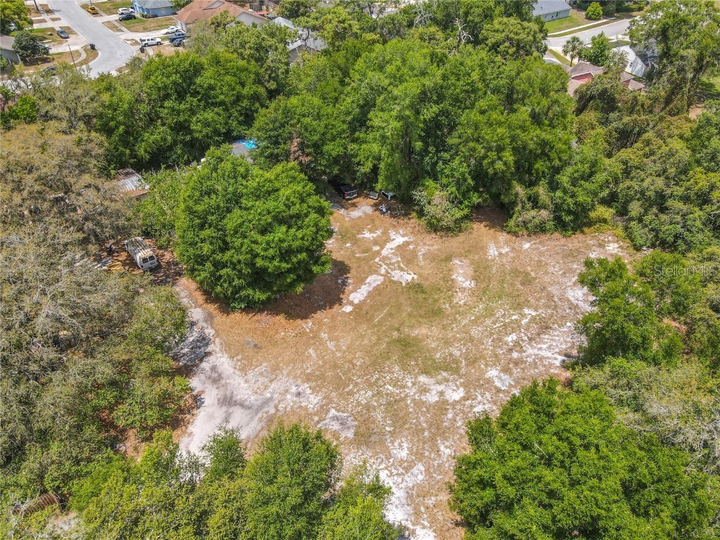 7839 University Garden Drive Winter Park FL 32792 O6301948 image4