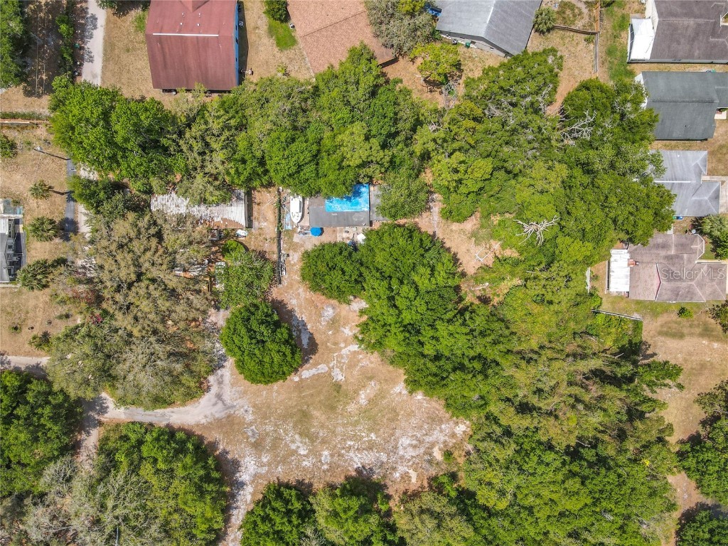 7839 University Garden Drive Winter Park FL 32792 O6301948 image5