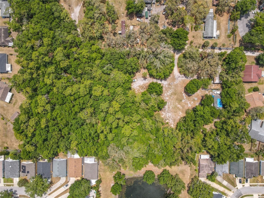 7839 University Garden Drive Winter Park FL 32792 O6301948 image6