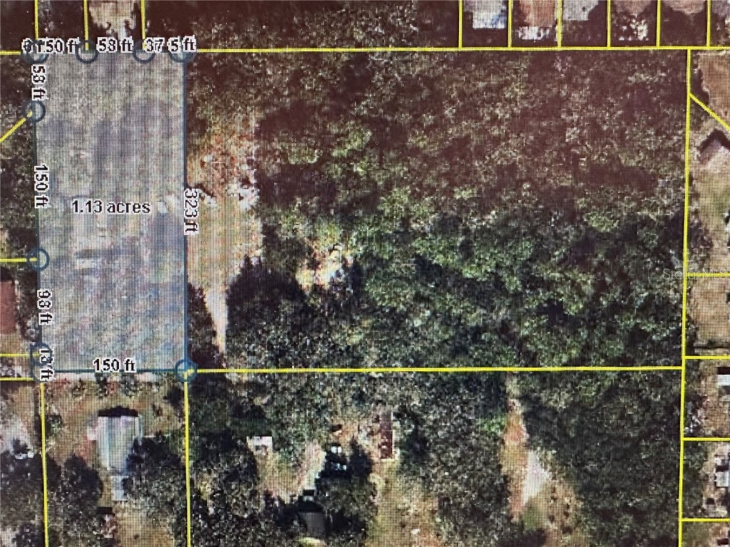 7839 University Garden Drive Winter Park FL 32792 O6301948 image8