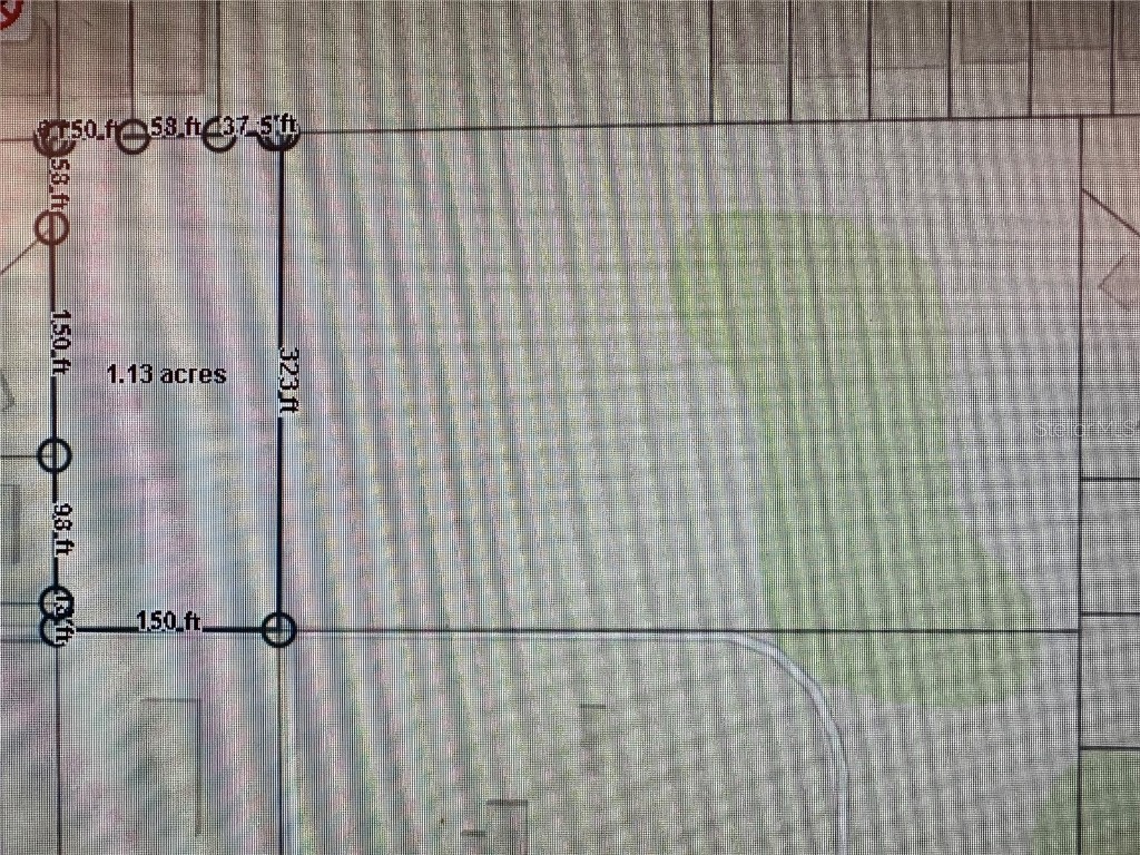 7839 University Garden Drive Winter Park FL 32792 O6301948 image9